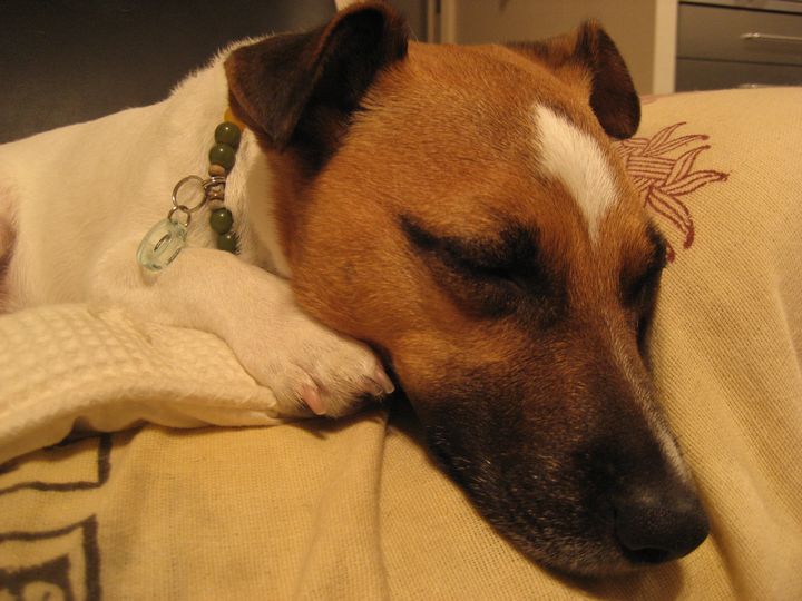 f0100871_22172359.jpg
