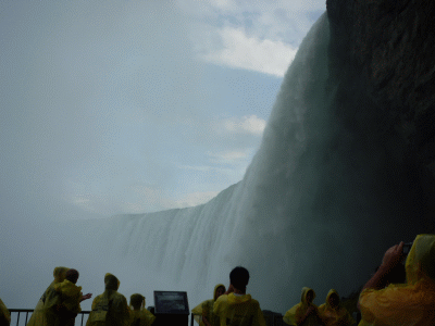 f0186671_6262242.gif