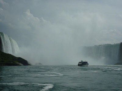 f0186671_644278.gif