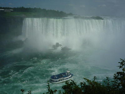 f0186671_646452.gif