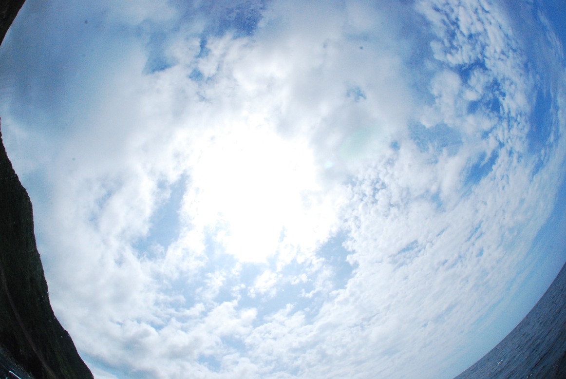 c0181073_801415.jpg