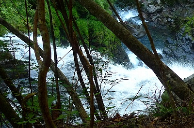 f0182173_2132186.jpg