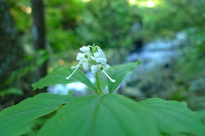 f0182173_21321987.jpg