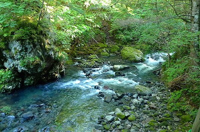 f0182173_21323134.jpg