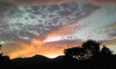 c0061774_20463521.jpg