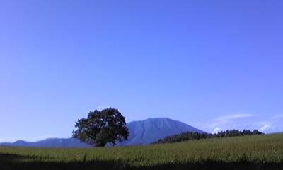 c0061774_20551988.jpg