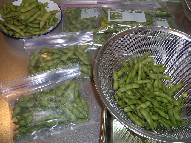 a0135577_1471069.jpg