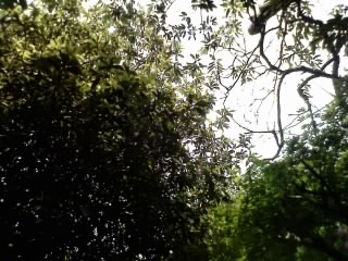 f0075779_22513135.jpg