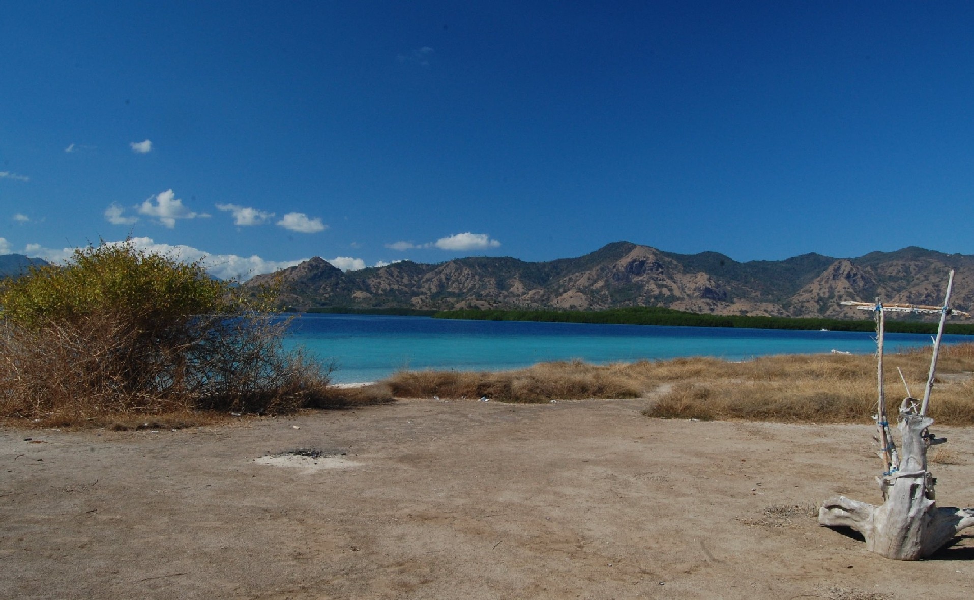 f0159179_223154100.jpg
