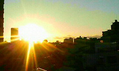 f0016981_203493.jpg