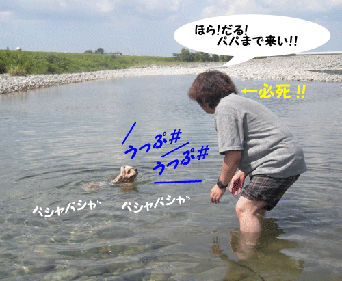 e0066883_19472175.gif