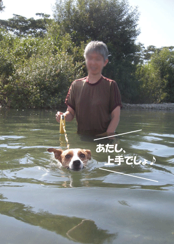 e0066883_20114391.gif