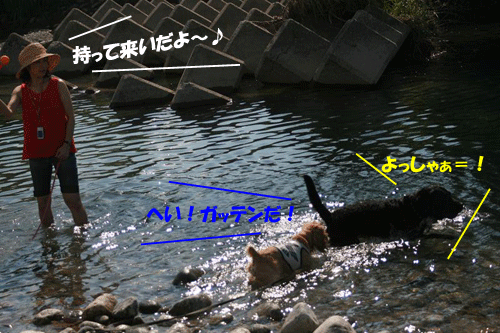 e0066883_20152716.gif