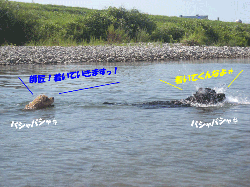 e0066883_20163213.gif