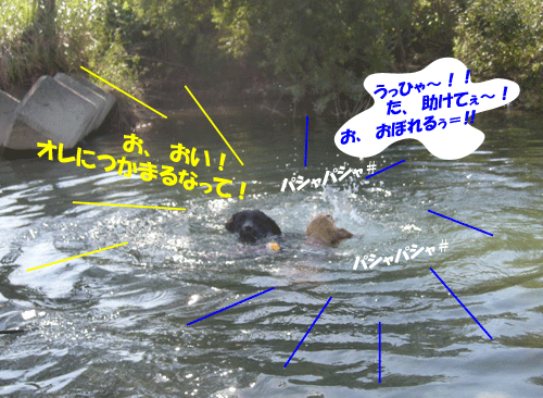 e0066883_20211933.gif
