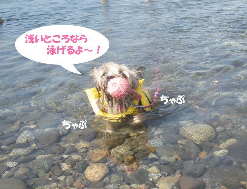 e0066883_20301414.gif