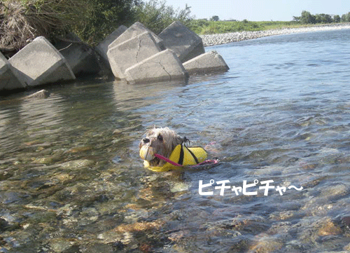 e0066883_2164815.gif