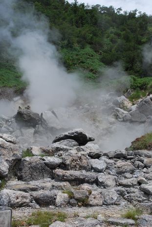 e0150783_9325227.jpg