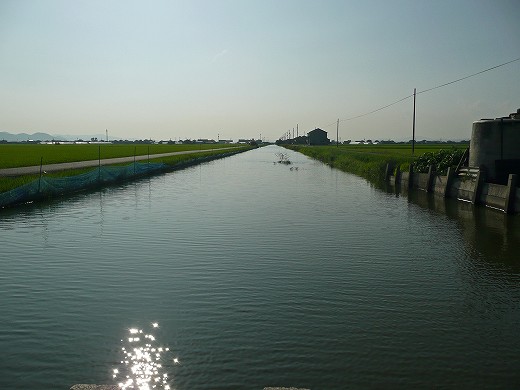 e0190885_194687.jpg