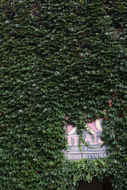 c0130986_8474756.jpg