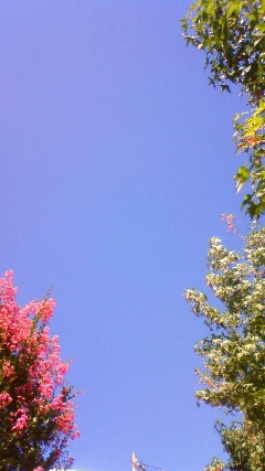 c0109891_23121350.jpg