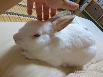 f0201191_12435719.jpg