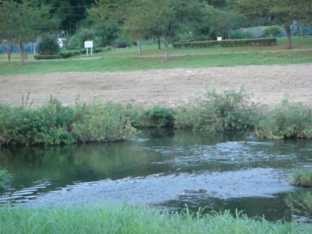 f0137694_17335120.jpg