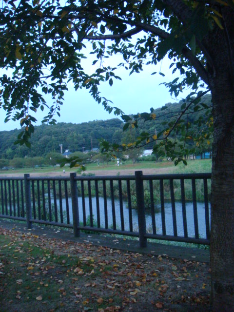 f0137694_1736161.jpg