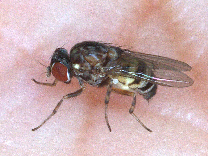 f0204094_1503910.jpg