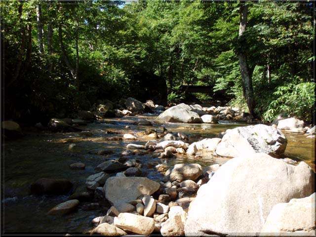 a0043395_2022848.jpg