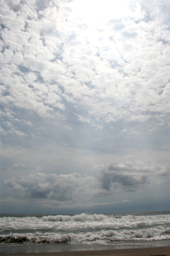 d0100095_20261294.jpg