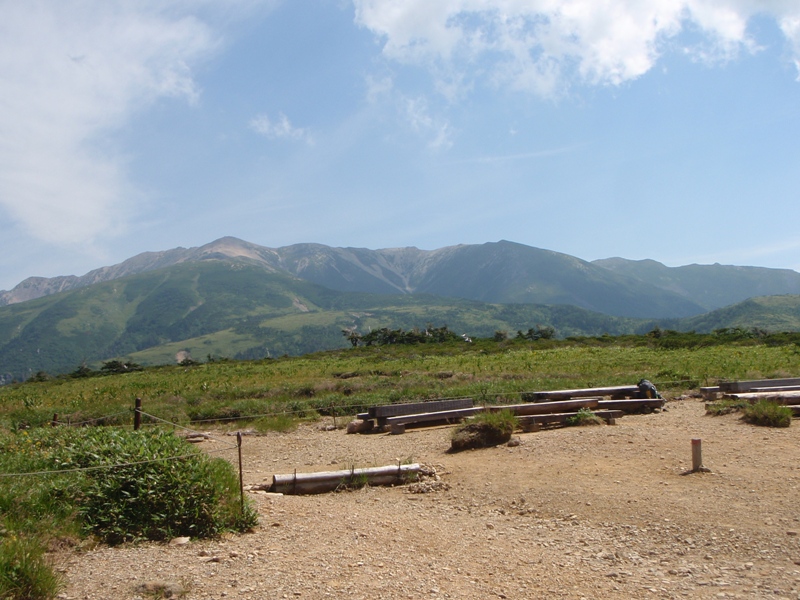 c0147398_84071.jpg