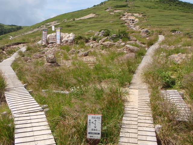 c0147398_84125.jpg
