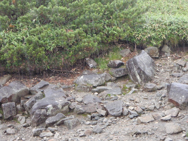 c0147398_862544.jpg