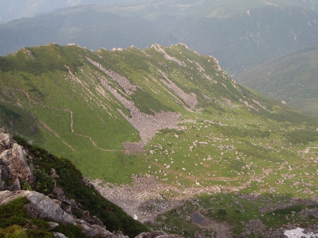 c0147398_872451.jpg