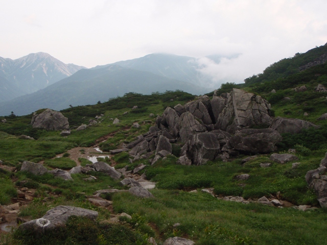 c0147398_881326.jpg