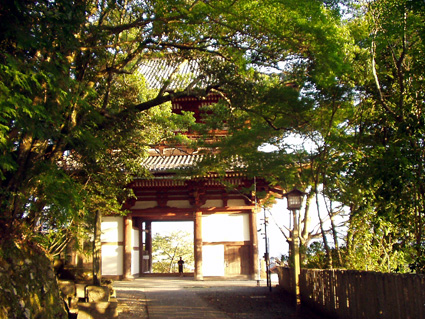 c0145299_2142788.jpg