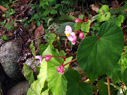 c0145299_22161522.jpg