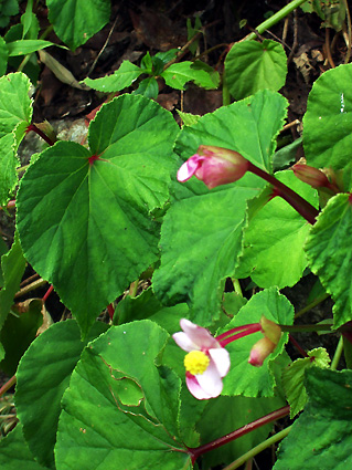 c0145299_22164376.jpg