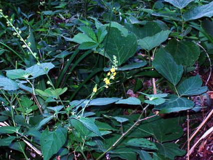 c0145299_22184582.jpg