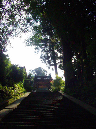 c0145299_22203919.jpg