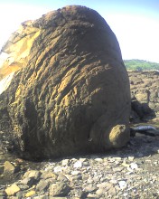 c0164401_17285812.jpg