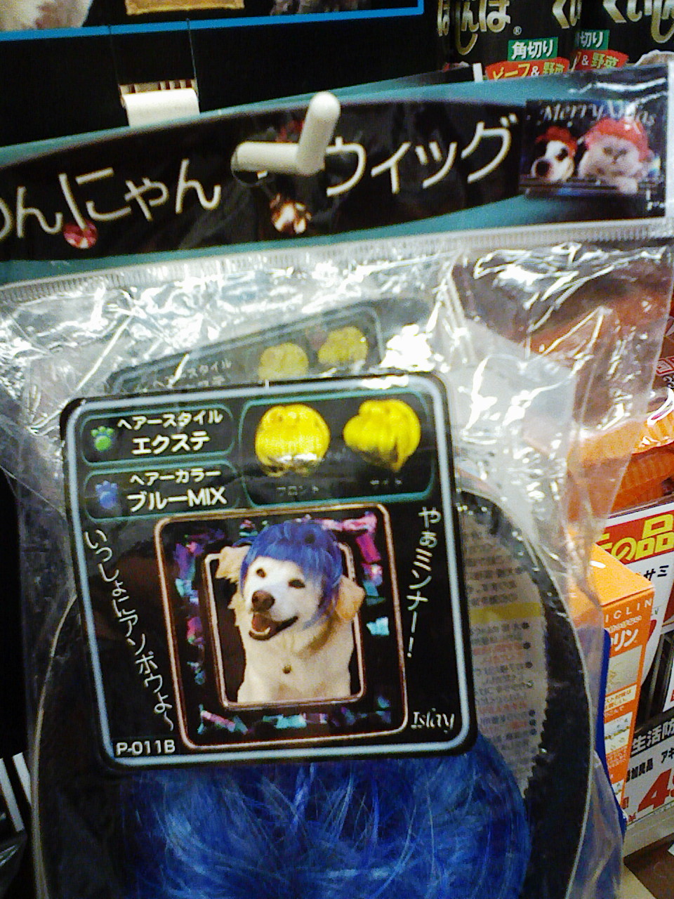 a0032004_18372913.jpg