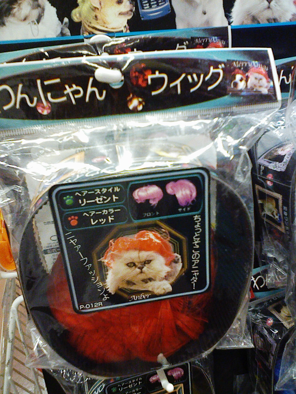 a0032004_18374375.jpg