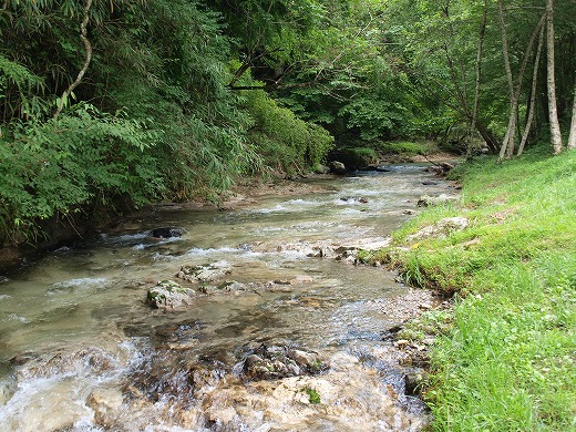 c0012304_2234480.jpg