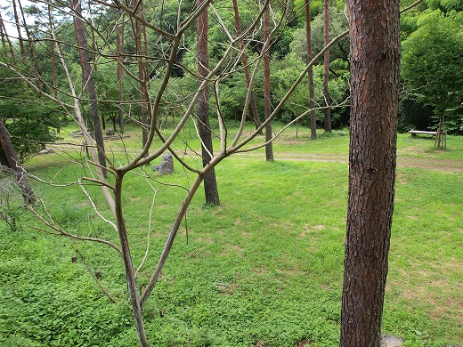 c0012304_2261564.jpg