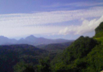 d0110904_11321475.jpg