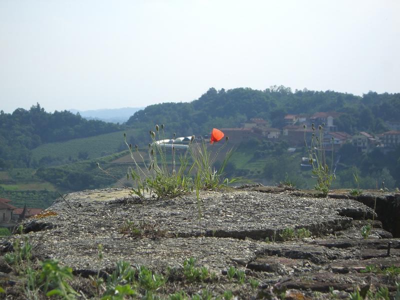 e0181908_1782840.jpg