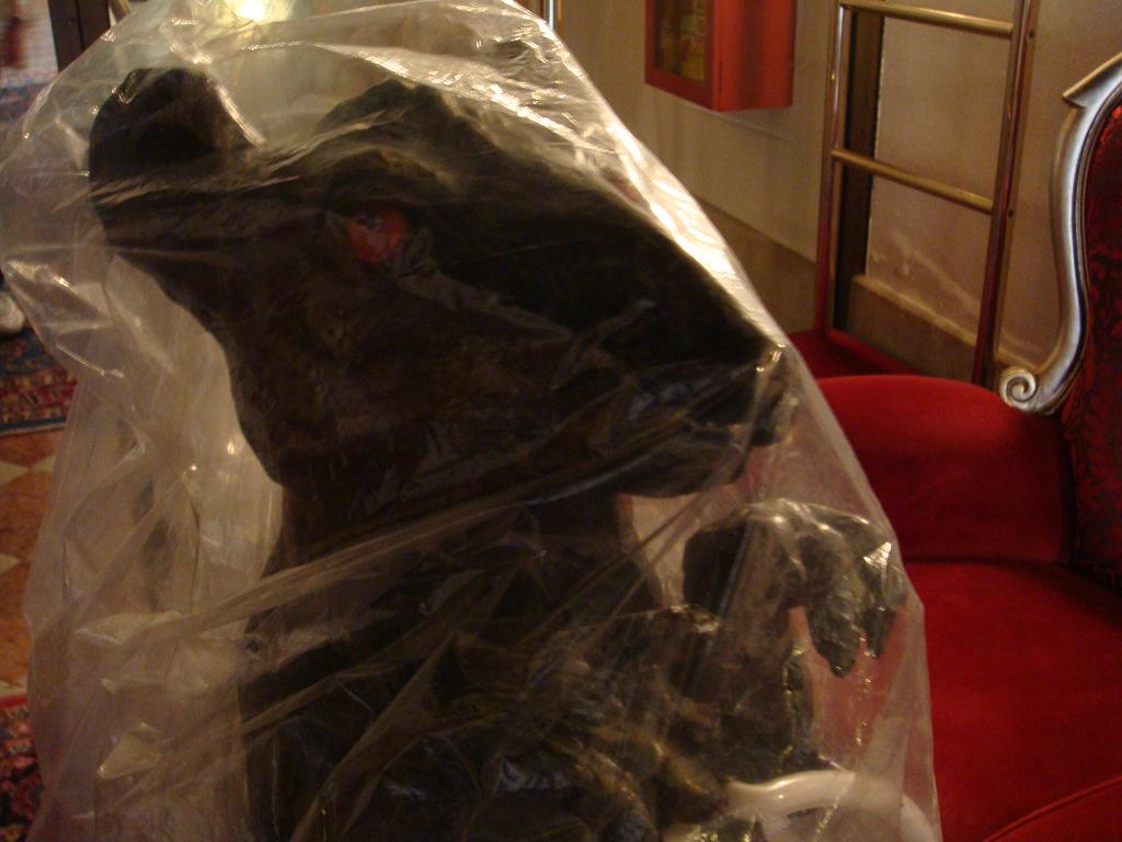 e0181908_179189.jpg