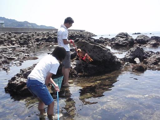 e0188009_17414044.jpg